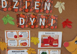 Dzień Dyni