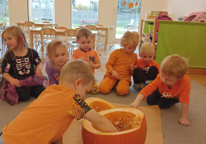 Dzień Dyni