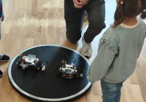 Robotyka