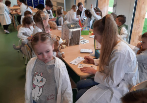 Szpital Pluszowego Misia