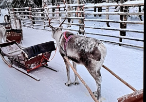 Z wizytą w wiosce Św. Mikołaja...