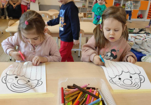 Zdjęcie 3 na 19