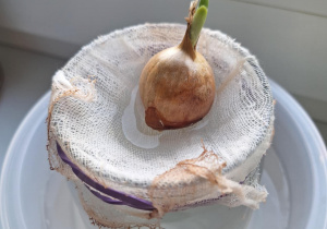doświadczenie