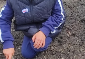 Zdjęcie 33 na 75