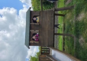 Zdjęcie 52 na 111