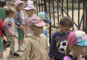 Zdjęcie 6 na 98