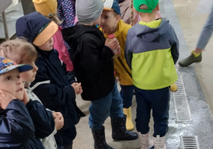 Zdjęcie 12 na 46