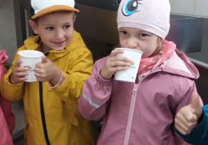 Zdjęcie 17 na 46