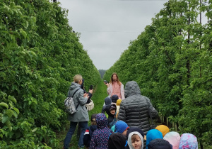 Zdjęcie 26 na 46