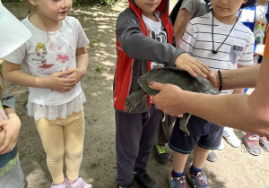 Zdjęcie 12 na 60