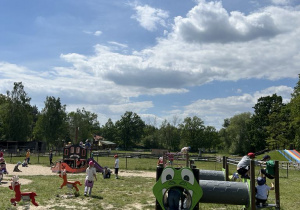 Zdjęcie 31 na 60