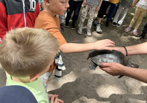 Zdjęcie 40 na 60