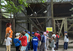 Zdjęcie 51 na 60