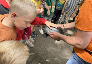 Zdjęcie 37 na 60