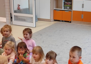 Zdjęcie 1 na 17
