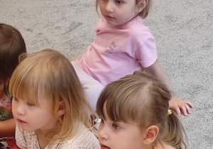 Zdjęcie 5 na 17