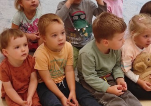 Zdjęcie 15 na 17