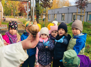 Październiki w grupie Jeżyki