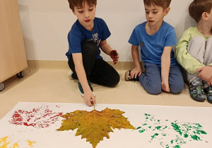 Jesienne aktywności