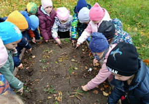 Jesienne aktywności