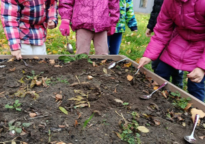 Jesienne aktywności