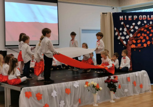 Święto Niepodległości