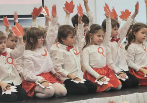 Święto Niepodległości