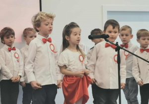 Święto Niepodległości