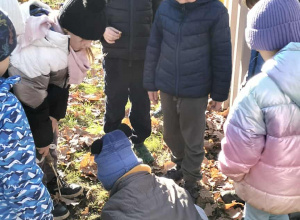 Akcja Krokusy... wspólnie posadziliśmy cebulki w naszym ogrodzie przedszkolnym! Czekamy na efekty naszej pracy, które będziemy podziwiać wiosną ;)