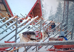 Czytanie z Rodzicami