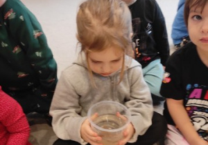 Czy śnieg jest czysty?