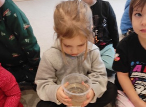 Czy śnieg jest czysty?