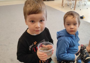 Czy śnieg jest czysty?