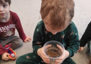 Czy śnieg jest czysty?