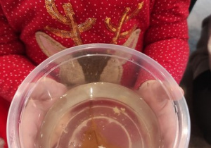 Czy śnieg jest czysty?