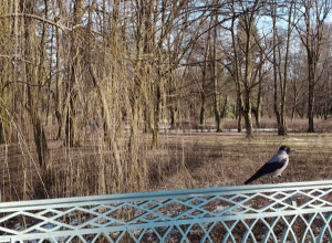 Założenia dydaktyczno-wychowawcze na marzec