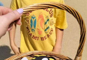 Międzynarodowy Dzień Pszczół