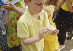 Międzynarodowy Dzień Pszczół