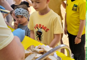 Dzień Pszczół