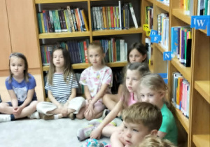 Biblioteka