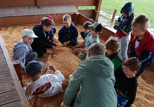 Wycieczka do Dyniolandi