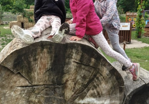 Wycieczka do Dyniolandi