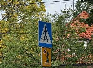 W poszukiwaniu znaków drogowych